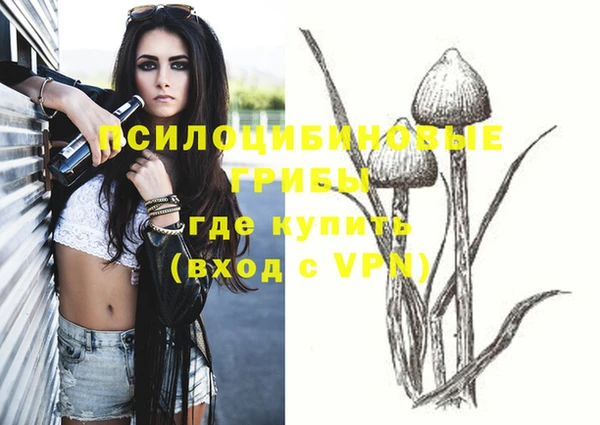 ешки Абинск
