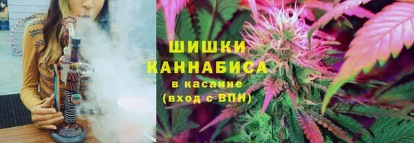 гидра Абаза