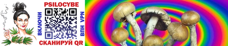 купить   Алексеевка  Псилоцибиновые грибы GOLDEN TEACHER 