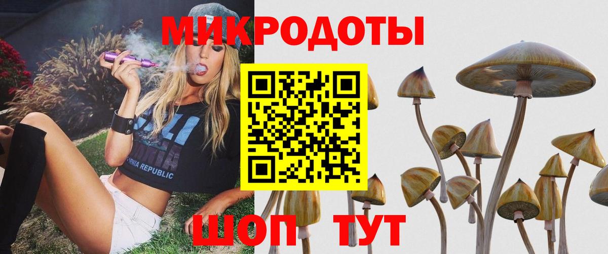 Галлюциногенные грибы ЛСД Алексеевка